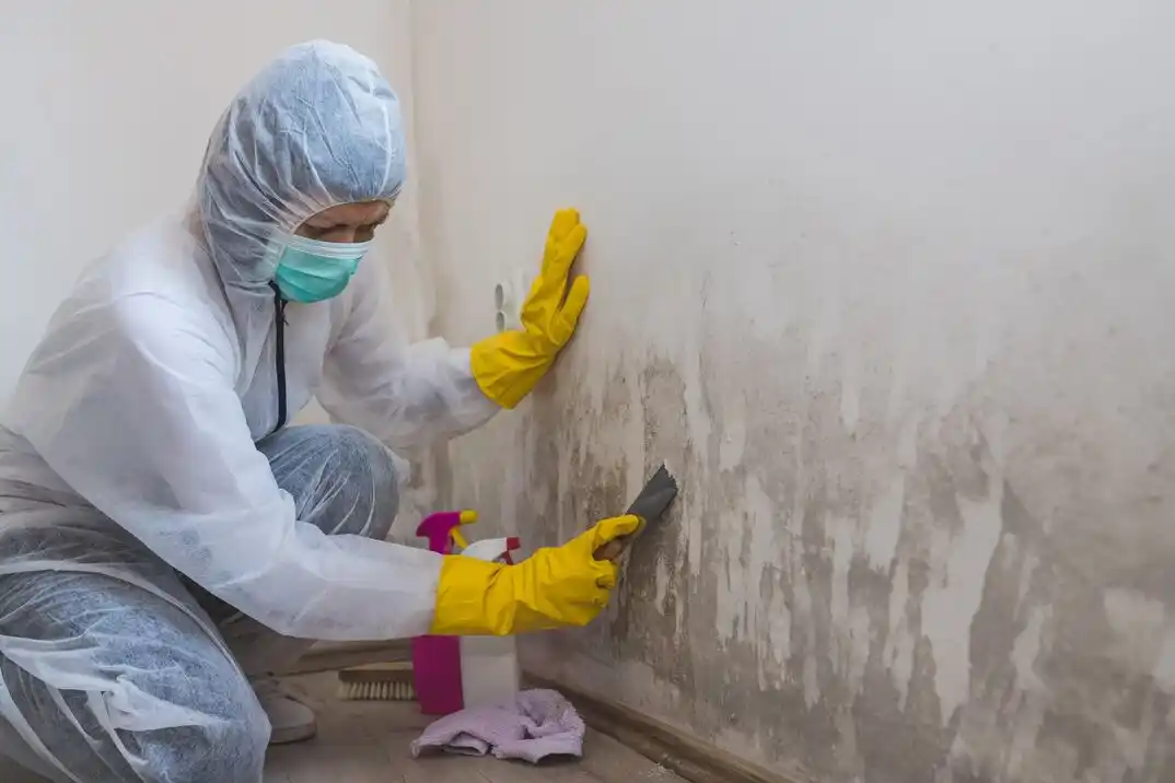 water damage restoration service Timber Forest